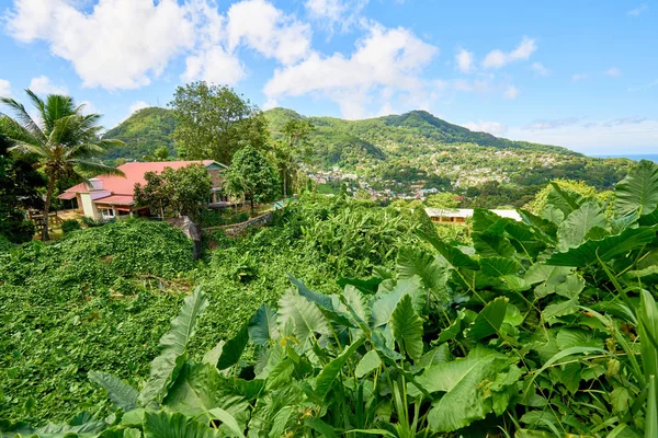 Victoria, Seychellerna, Mahe-ön — Stockfoto