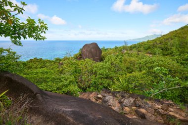 Anse ana patikası, Mahe ve Seyşeller 'in doğa yolunda yürüyüş.
