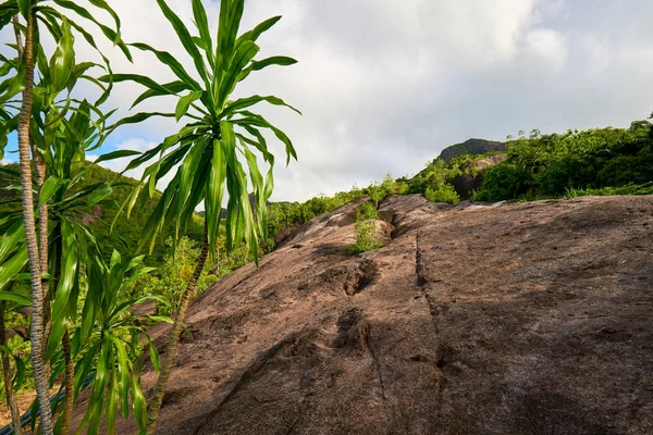 Anse ana patikası, Mahe ve Seyşeller 'in doğa yolunda yürüyüş. — Stok fotoğraf