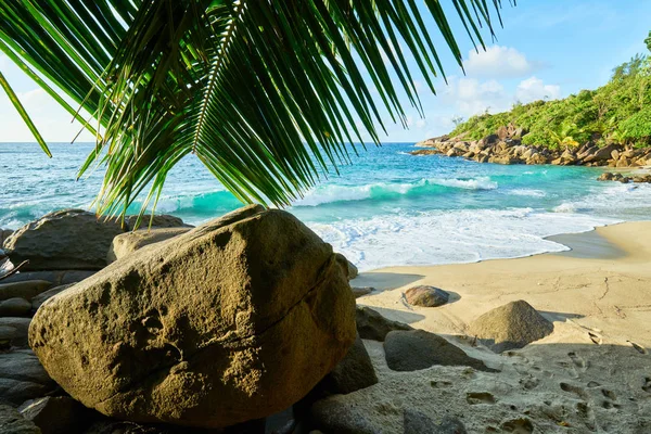 Anse Major Beach, Mahe, Seychellen — Stockfoto