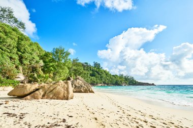 Anse niyet, tropikal plaj, Mahe, Seyşeller