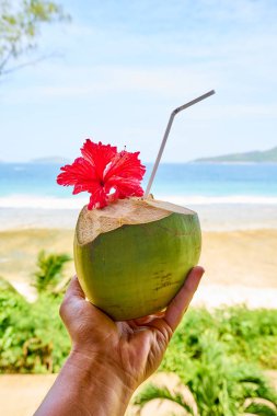 tropikal plaj önünde hindistan cevizi kokteyli ile adam el, la digue, seyşeller