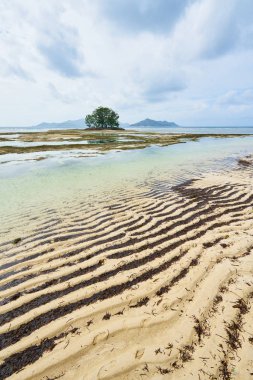 Pontoon, la digue, seyşeller, sendika emlak çiftliği, küçük iskele