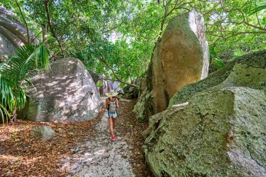 Anse Source d'Argent - Seyşeller tropikal ada La Digue güzel plajda granit kayalar