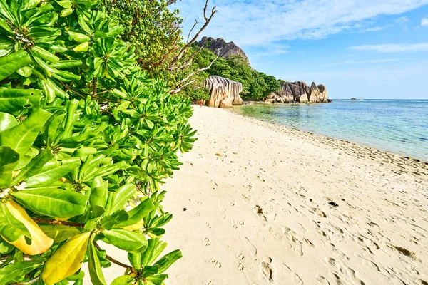Anse Source d'Argent - rocce granitiche sulla bellissima spiaggia dell'isola tropicale La Digue alle Seychelles — Foto Stock