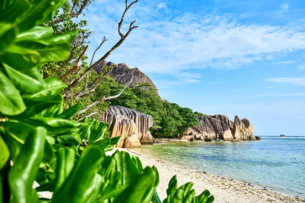 Anse Source d'Argent - rocce granitiche sulla bellissima spiaggia dell'isola tropicale La Digue alle Seychelles — Foto Stock