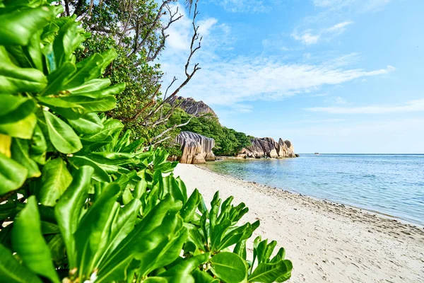 Anse Source d'Argent - rocce granitiche sulla bellissima spiaggia dell'isola tropicale La Digue alle Seychelles — Foto Stock