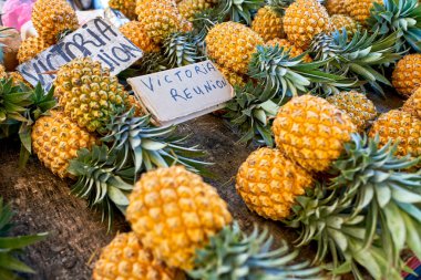 reunion adanın yerel pazarda ünlü victoria ananas