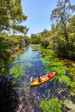 Fontaine de Vaucluse'daki Sorgue Nehri'nde kayaklar. Vaucluse, Provence, Fransa, Avrupa