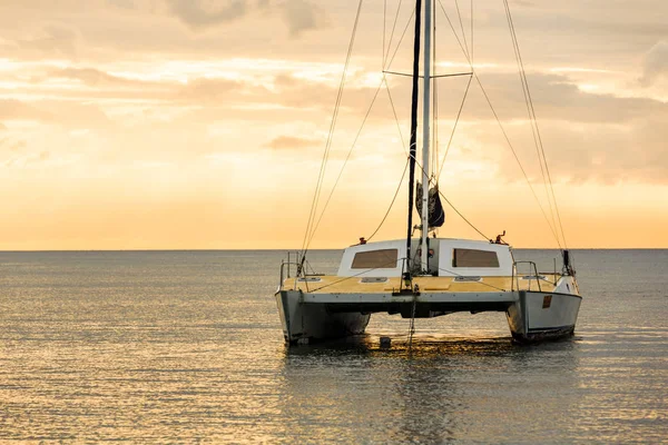 Katamaran, baltık denizinin su yüzeyinde alacakaranlıkta süzülür. Altın güneşe yelken açmak