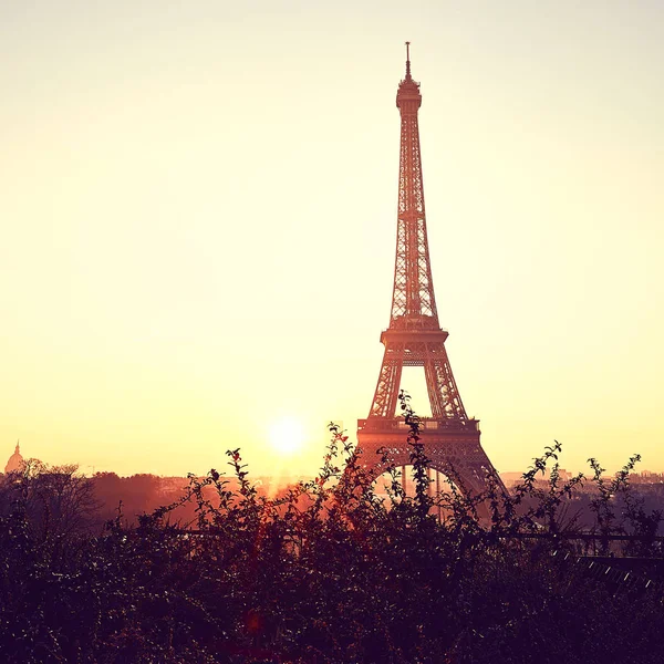 Tower Eiffel Tijdens Zonsopgang Trocadero — Stockfoto