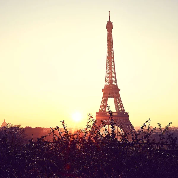 Torre Eiffel Durante Nascer Sol Trocadero — Fotografia de Stock