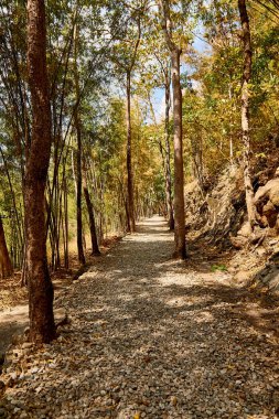 Cehennem ateşi geçmek, Kanchanaburi, Tayland