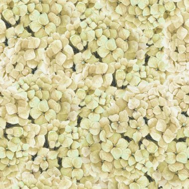 Güzel sarı ortanca çiçek suluboya çizim ile Seamless modeli