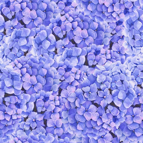 Nahtloses Muster Mit Schönen Blauen Hortensienblüten Aquarell Illustration — Stockfoto
