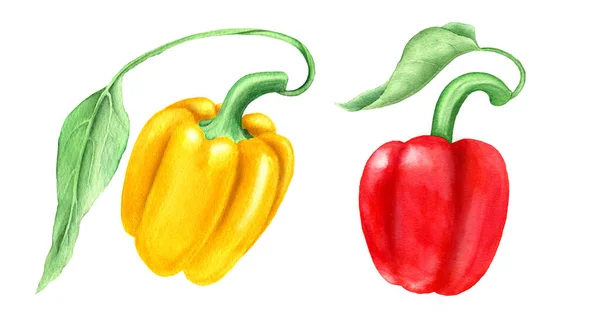 Set Two Yellow Red Bell Peppers Green Leaves Isolated White — Stock Photo, Image