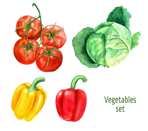 Set Vegetables Green Cabbage Red Tomato Branch Yellow Red Bell — Stock Photo, Image