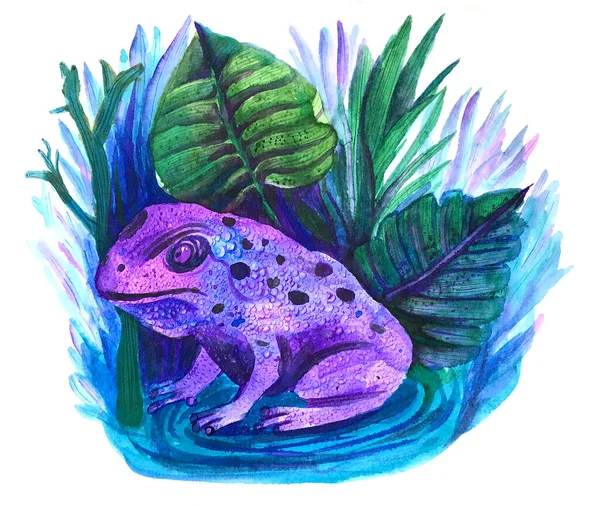 Magische violette Frosch Vintage niedliche Aquarell-Illustration — Stockfoto