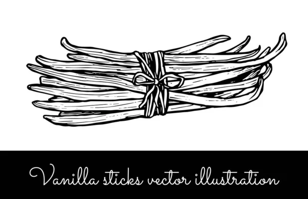 Vintage Vanilleblume und Vanillestäbchen Sammlung — Stockvektor