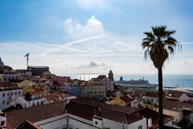 Bir palmiye ağacı ile güneşli bir günde, Alfama görünümü