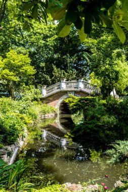 Bir nehir bitkiler ve ağaçlar ve yeşilliklerle yığınları ile taş köprüden