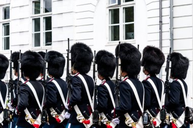 Danimarka değiştirme, Kopenhag, Tüylü şapkalar ile Kraliyet muhafızı