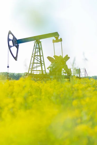 Ölpumpe oder Pumpeninstallation in einem blühenden Feld. Probleme der Umweltproduktion — Stockfoto