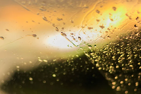 Raindrops on the glass. Sun rays and forest. Car windshield — Stock Photo, Image