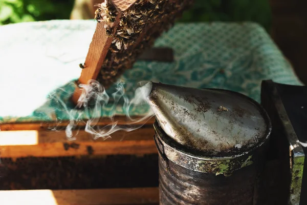 Ein Imker inspiziert das Gestell am Bienenhaus. Bienenstöcke mit Bienen — Stockfoto
