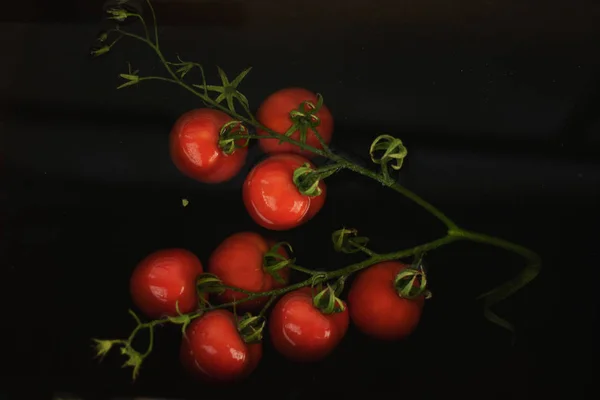 Ramo di pomodori su uno sfondo scuro. Pomodori nell'acqua scura . — Foto Stock