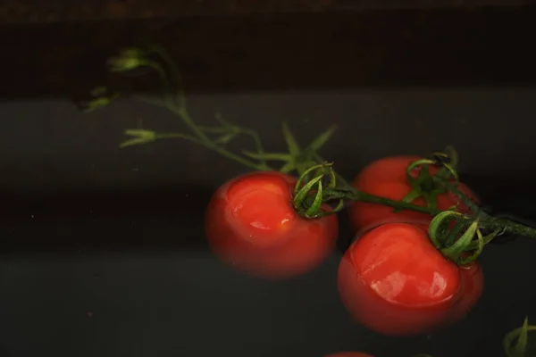 Ramo di pomodori su uno sfondo scuro. Pomodori nell'acqua scura . — Foto Stock