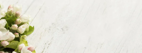 Яблочный Цвет Деревянном Белом Фоне Копирование Пространства Горизонтальной Ориентации — стоковое фото