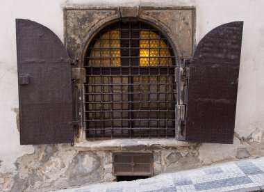 Bahar Prag parkta güzel çiçekli bitkiler