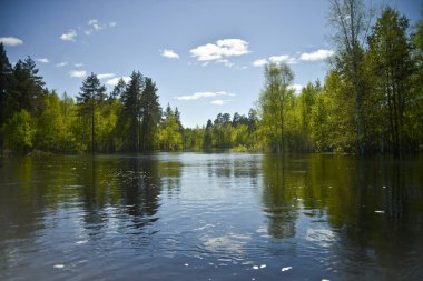 Nehrin, ormanlık shores bir bakış açısı. Mavi gökyüzü, beyaz bulutlar, su yansıması. Denizden görüntülemek.
