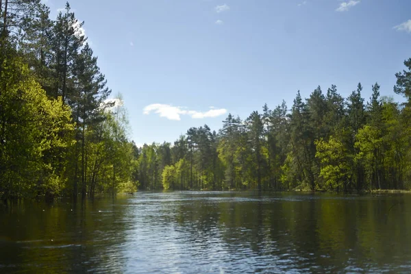 Perspektif Sungai Pantai Wooded Langit Biru Awan Putih Silau Biru — Stok Foto