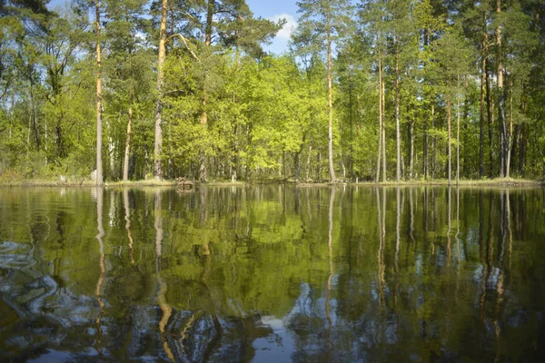 Beboste Rivier Bank Weerspiegeld Water Uitzicht Vanaf Het Water — Stockfoto