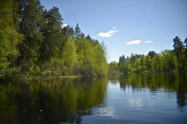 Blick Auf Den Fluss Bewaldete Ufer Blauer Himmel Weiße Wolken — Stockfoto