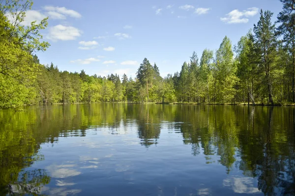 Perspective River Wooded Shores Blue Sky White Clouds Reflection Water — Stock Photo, Image