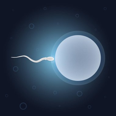 İnsan üreme kavramı vektör tasarımı