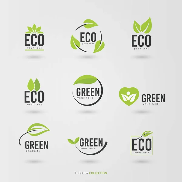 Conjunto Logotipo Ecologia Natural Verde — Vetor de Stock