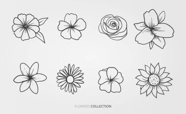 Flowers and nature vector set