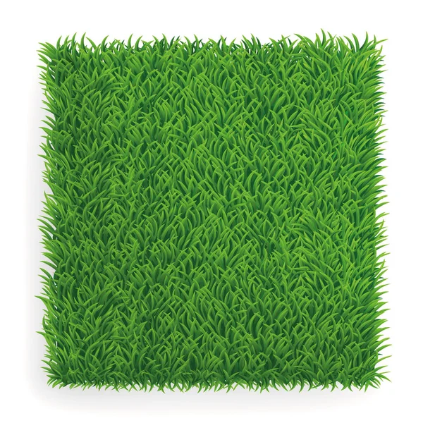 現実的な緑の草のテクスチャデザイン — ストックベクタ