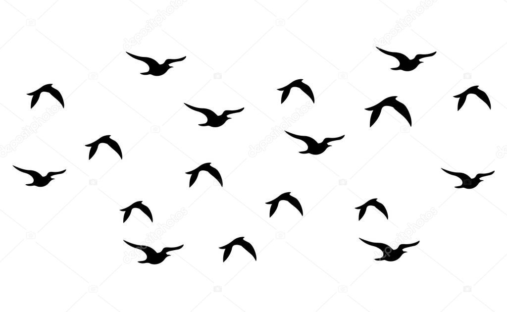 Flock of birds set design