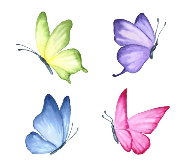 Variedad Colección Mariposas Conjunto — Vector de stock