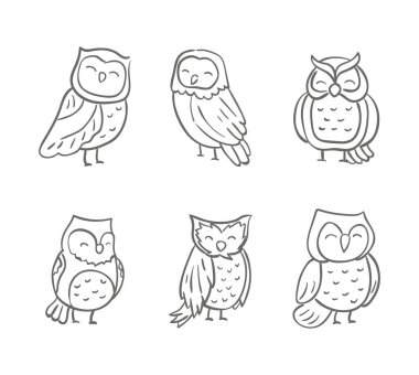 Şirin Baykuş takımının çeşitliliği