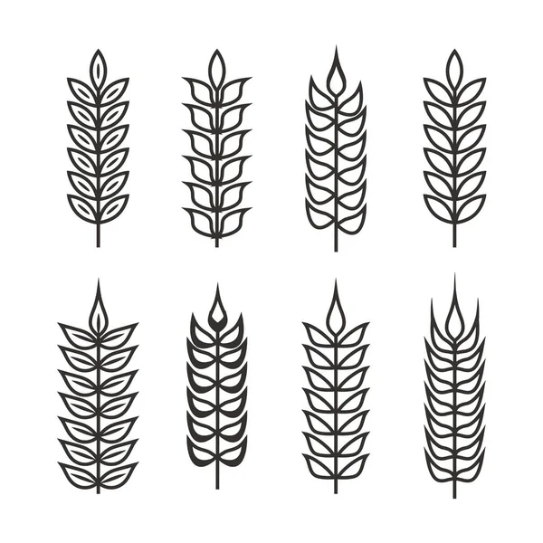 Variety Wheat Ears Set — Stock Vector