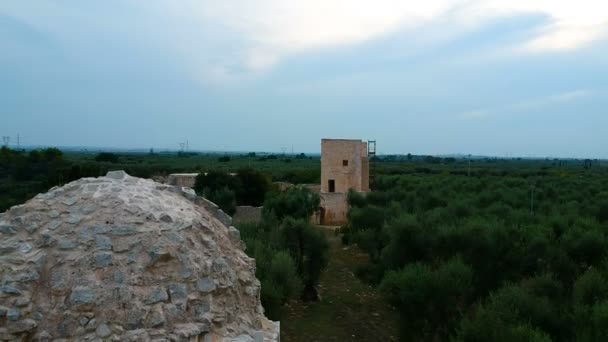 Resterna Forntida Bysantinska Kyrkan Casale Balsignano Nära Bari Apulien Italien — Stockvideo