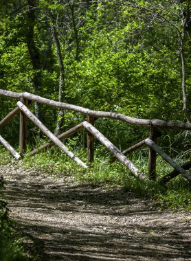 Alberobello'nın fragno bir bahar öğleden sonra ormanda patika. Puglia - İtalya