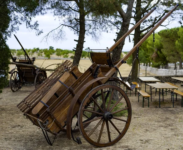 Traditional Horse Carriage Donkey Used Apulian Countryside Farmers 20Th Century — Stock Photo, Image