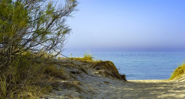 Enchanting Views Dune Costiere Park Pilone Fasano Apulia Italy — Stock Photo, Image